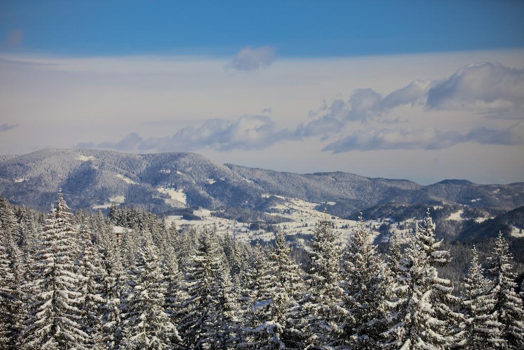 Villa Ibar Borovets Exteriör bild