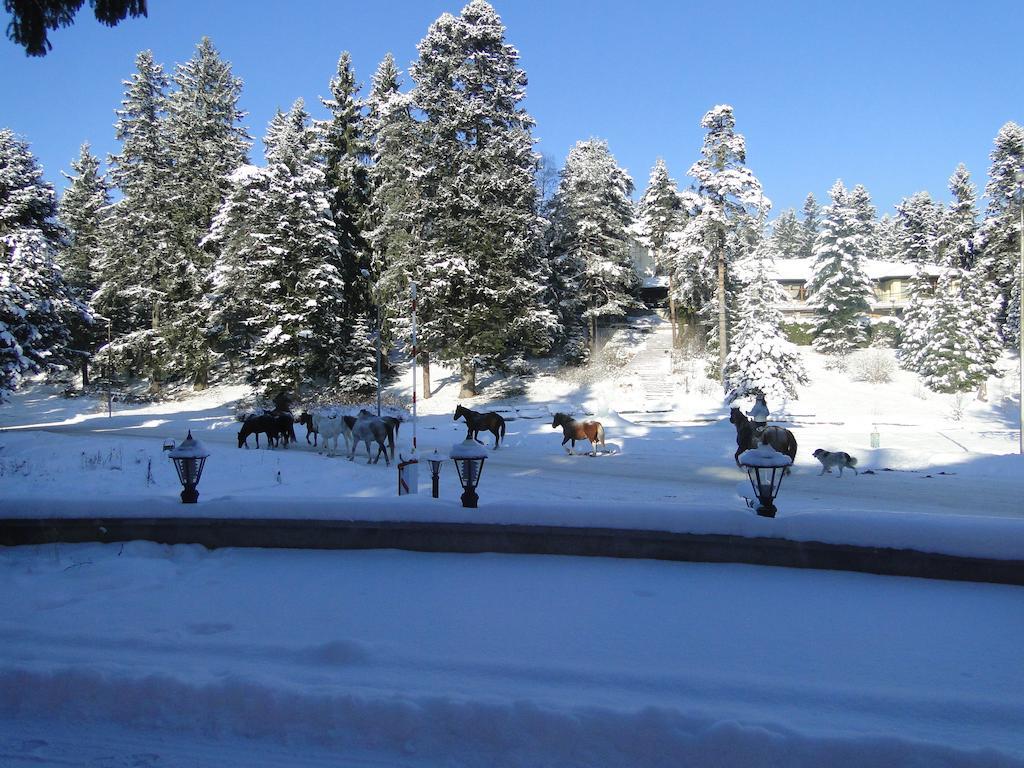 Villa Ibar Borovets Exteriör bild